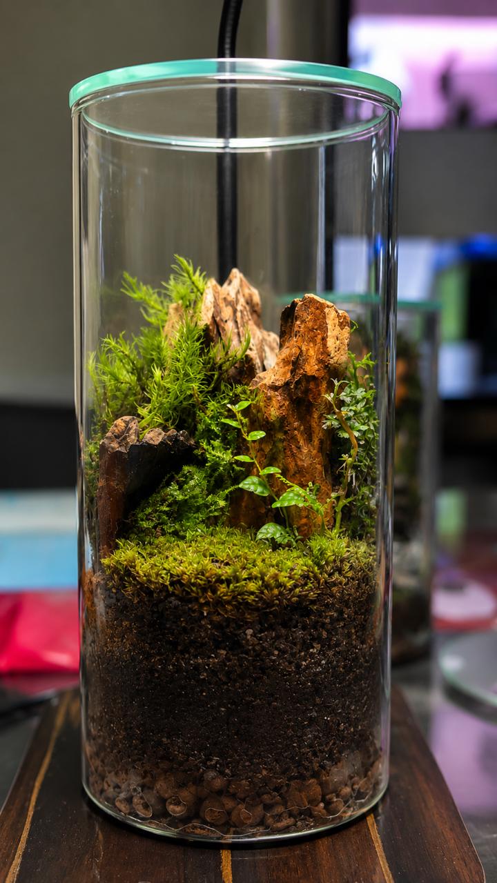 Tall glass cylinder with rock peaks, moss, and layered substrate